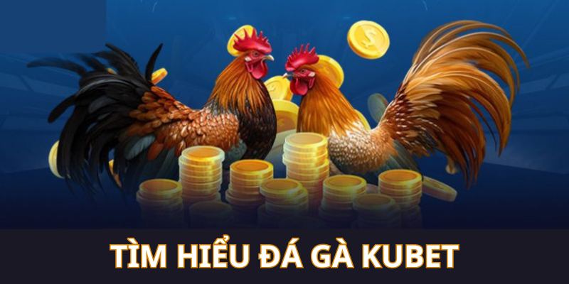 Đá Gà Kubet - Cá Cược Kịch Tính Với Tỷ Lệ Thưởng Hấp Dẫn